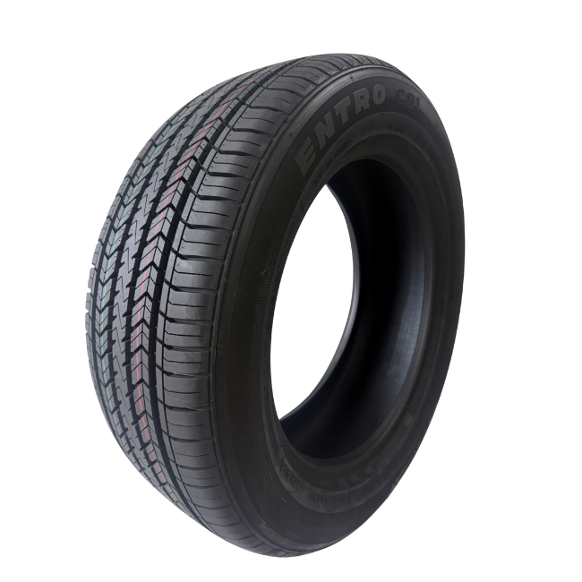 Gepormax Entro Cs1 225/65R17 tyre New Zealand